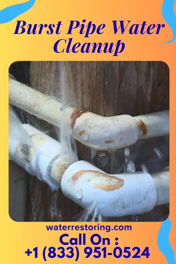 Burst Pipe Water Cleanup in Gaston, IN