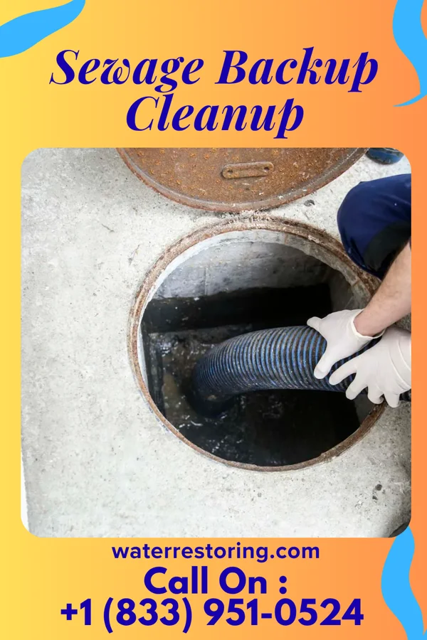 Sewage Backup Cleanup in Gaston, IN